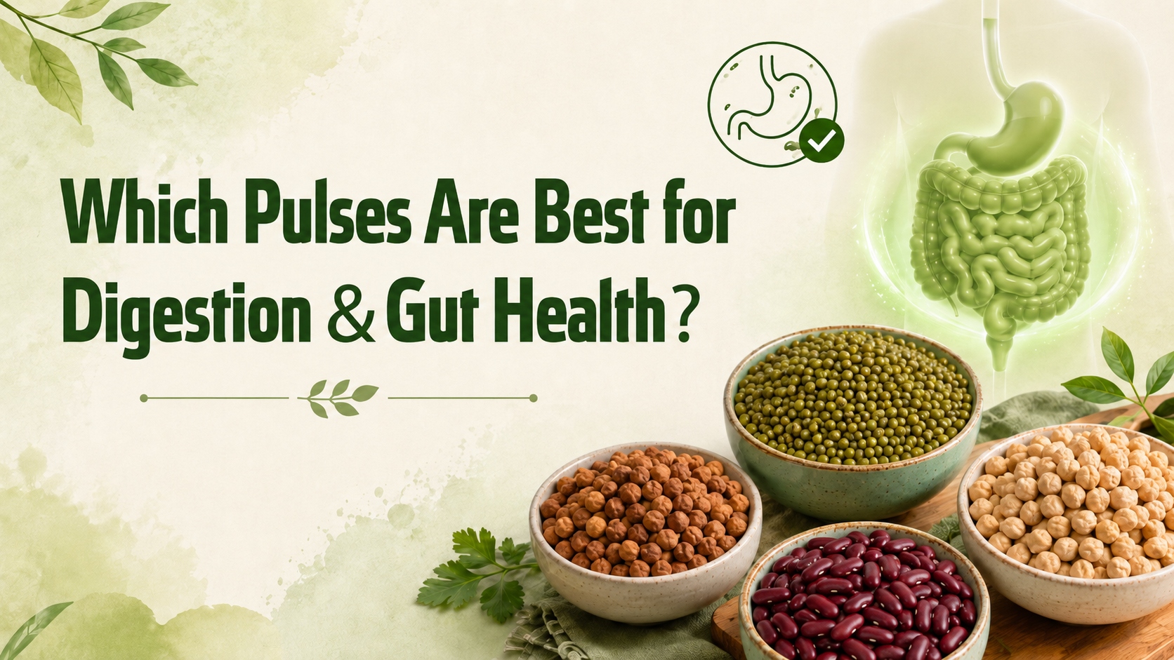 Best Pulses For Digestion